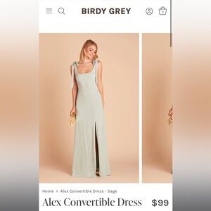 Alex Convertible Dress in Crepe Sage — Birdy Grey